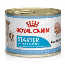 Royal Canin Starter Mousse Mother & Baby   12x195gr