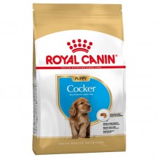 Royal Canin Cocker Spaniel Puppy 3Kg