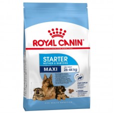 Royal Canin Maxi Starter Mother & Babydog  4Kg