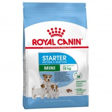 Royal Canin Mini Starter Mother & Babydog 1Kg